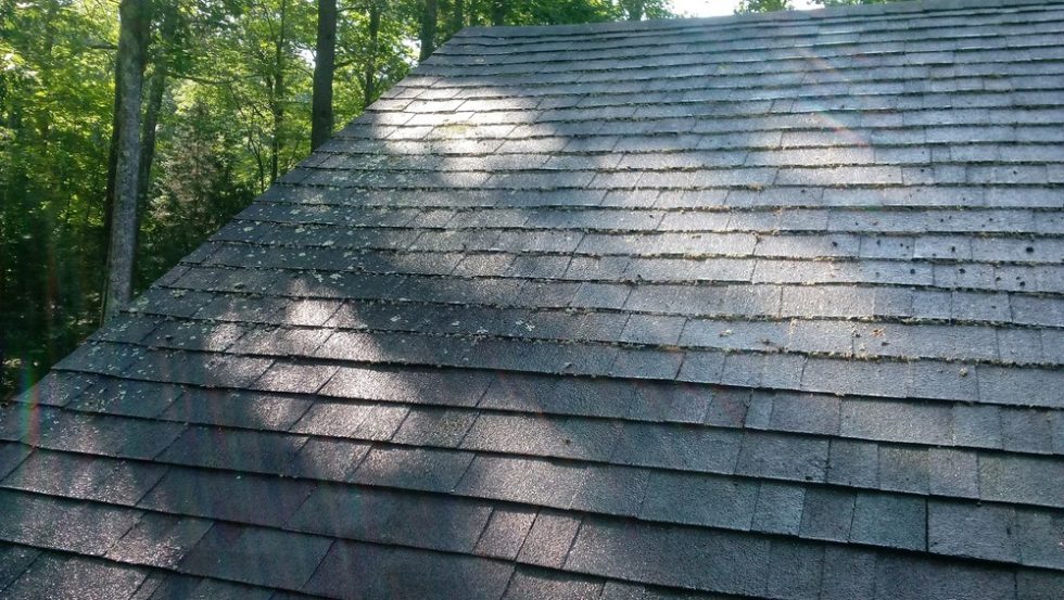 Roof showing cleaning results after pressure washing by ACME, with visible debris and moss removed, surrounded by trees.
