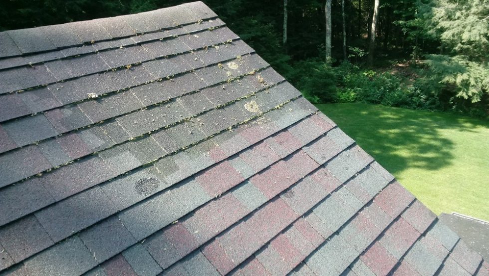 Roof shingles showing dirt, moss, and debris, emphasizing the need for roof pressure washing services by ACME Pressure Washing.