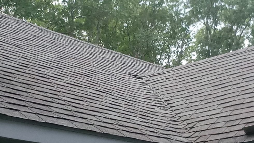Roof shingles showing clean and well-maintained surface after ACME Pressure Washing roof cleaning service, surrounded by greenery.