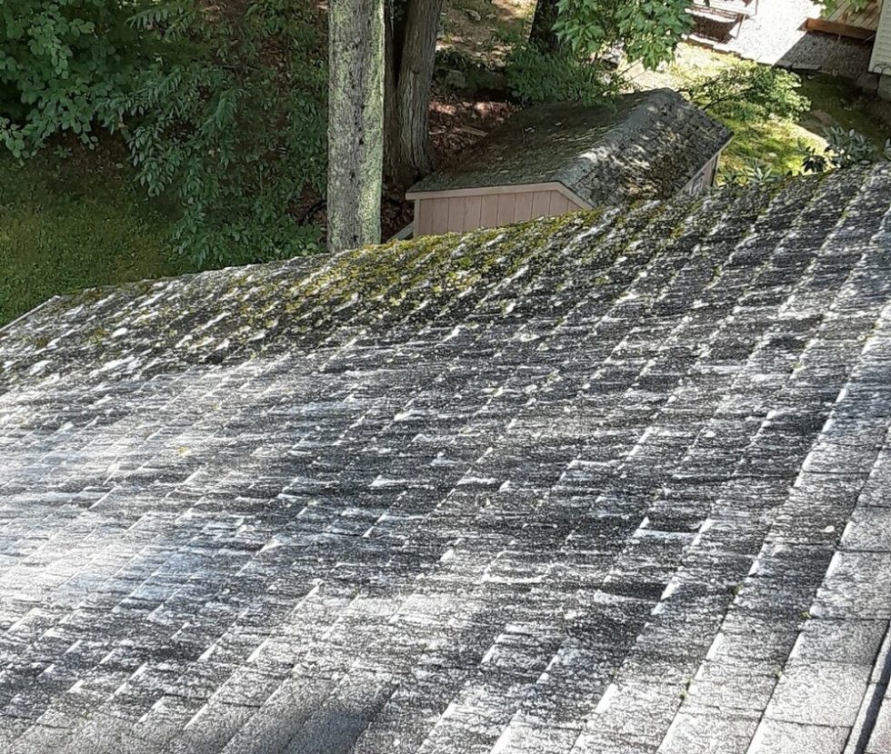 013 G Roof Pressure Washing Cleaning by ACME