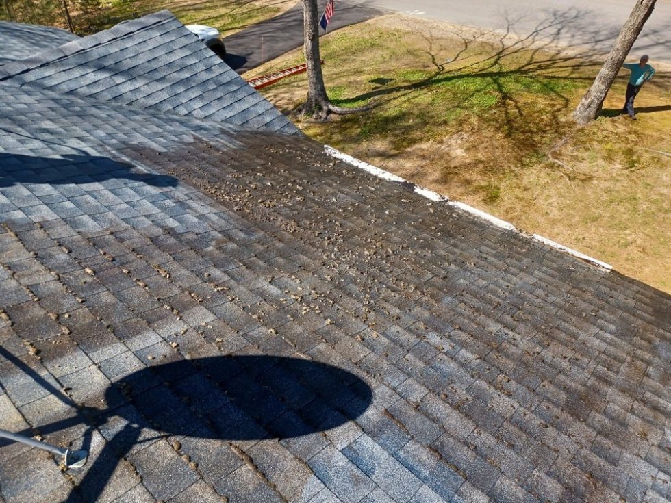 019 G Roof Pressure Washing Cleaning by ACME