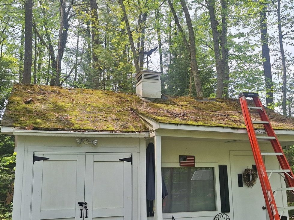 026 G Roof Pressure Washing Cleaning by ACME