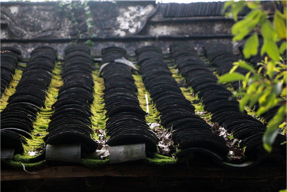 Black Streaks on Roof: What Causes Them and How to Clean Them Safely