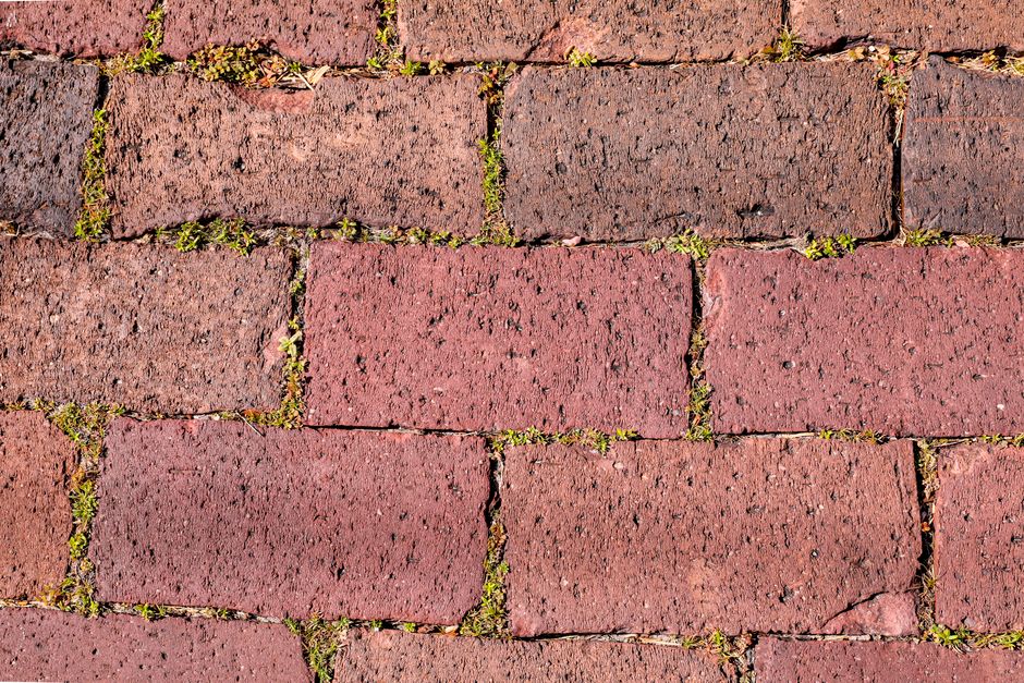 How to Remove Moss from Bricks Without Chemicals