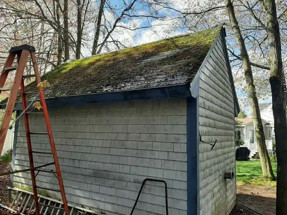Don’t Let Your Roof Become a Science Experiment