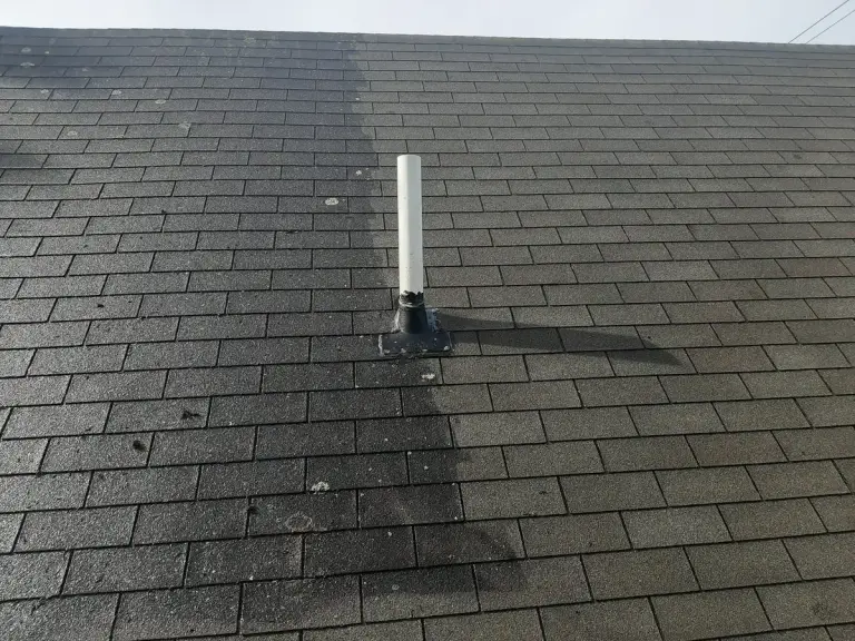 Gentle on shingles, tough on algae