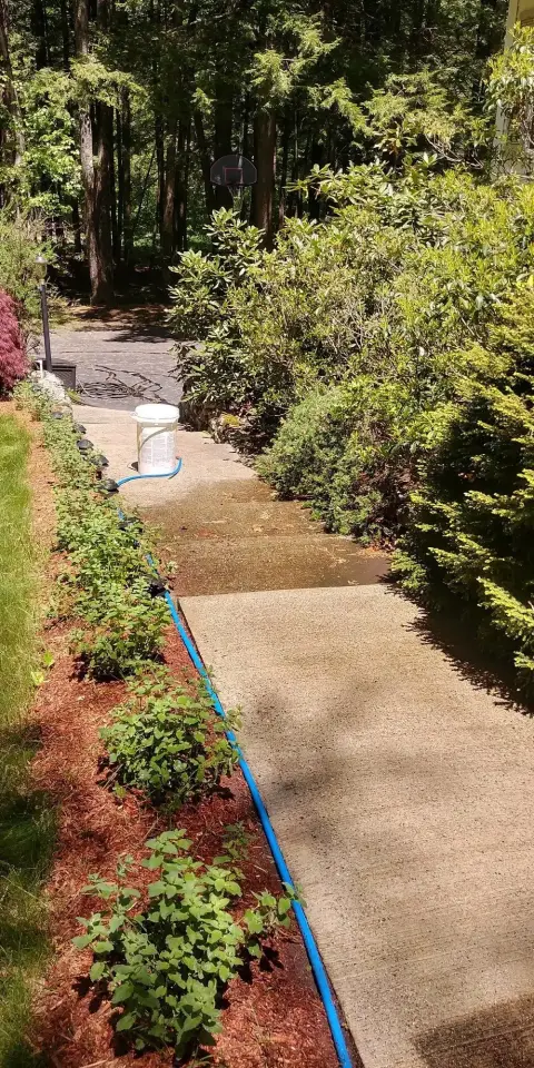 Patios & Walkways cleaning by ACME