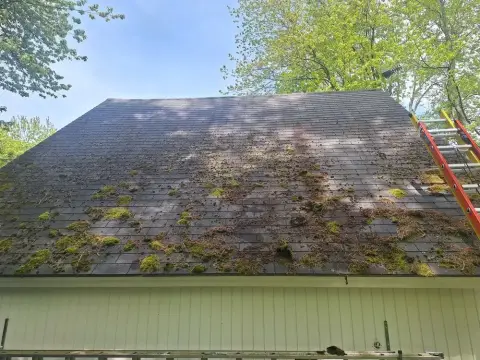 Roof cleaning by ACME