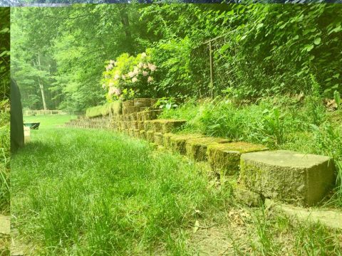 Patios & Walkways cleaning by ACME