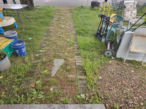 Patios & Walkways cleaning by ACME