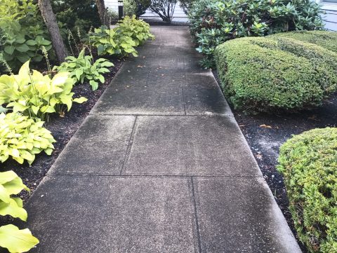 Patios & Walkways cleaning by ACME