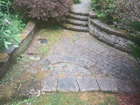 Patios & Walkways cleaning by ACME