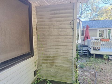 House Before Cleaning