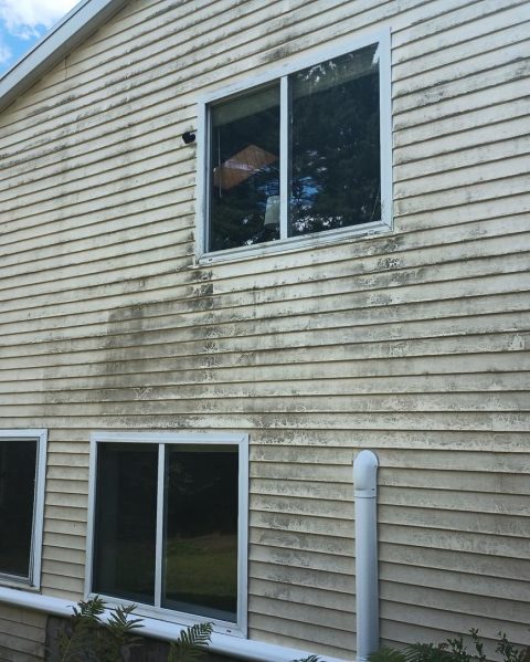 House Before Cleaning